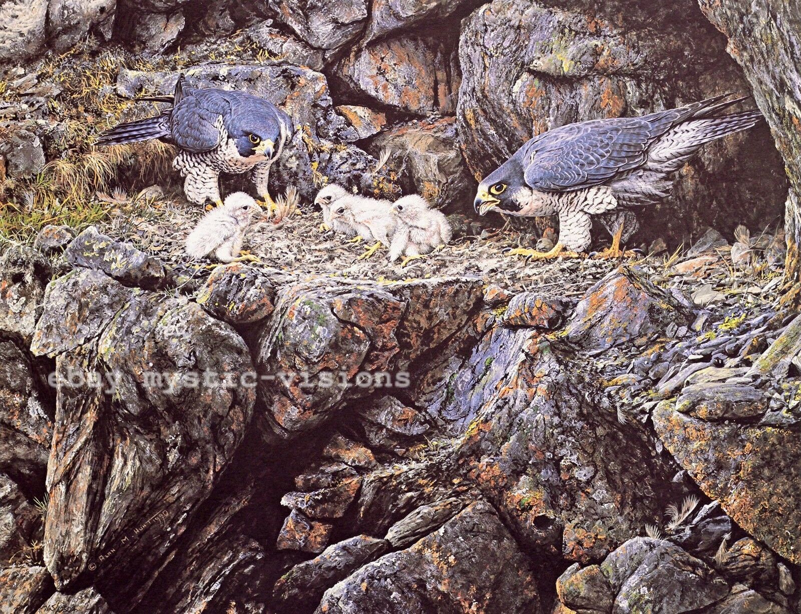 PEREGRINE FALCON FAMILY Alan Hunt Signed & Numbered w/coa Fine Art Print