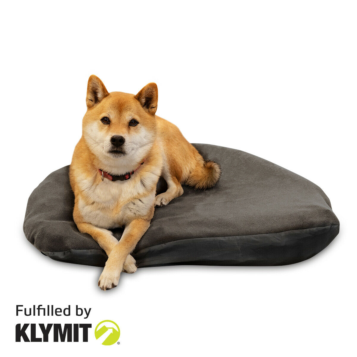 Klymit Medium Moon Dog Bed Camping Backpacking Pad for Dogs - Brand New