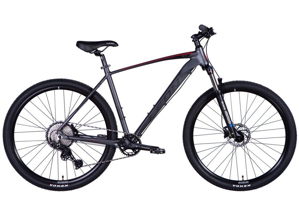 Hardtail Mountain Bike 29