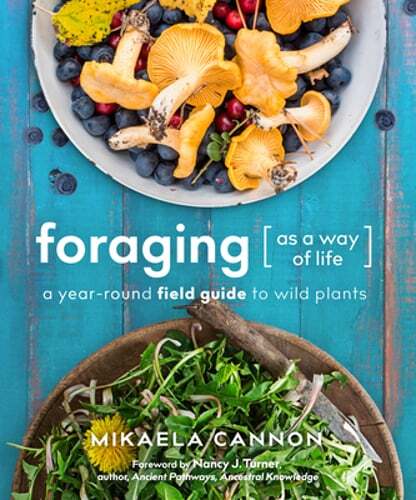 Discover Year-Round Wild Plants with Foraging as a Way of Life by Cannon