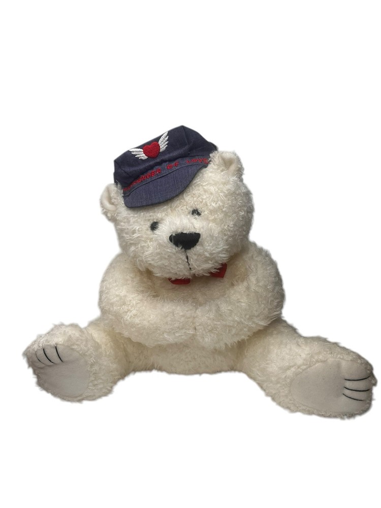 Valentines Messenger of Love Plush Bear with Denim Cap 9 Inch
