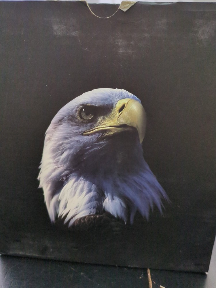 Bestsight DIY Digital Night Vision Scope for Rifle with Camera and 5