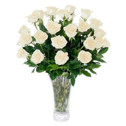 Roses Bouquet, Best Next-Day Fresh Flower for Delivery Prime, 2 Dozen White-image