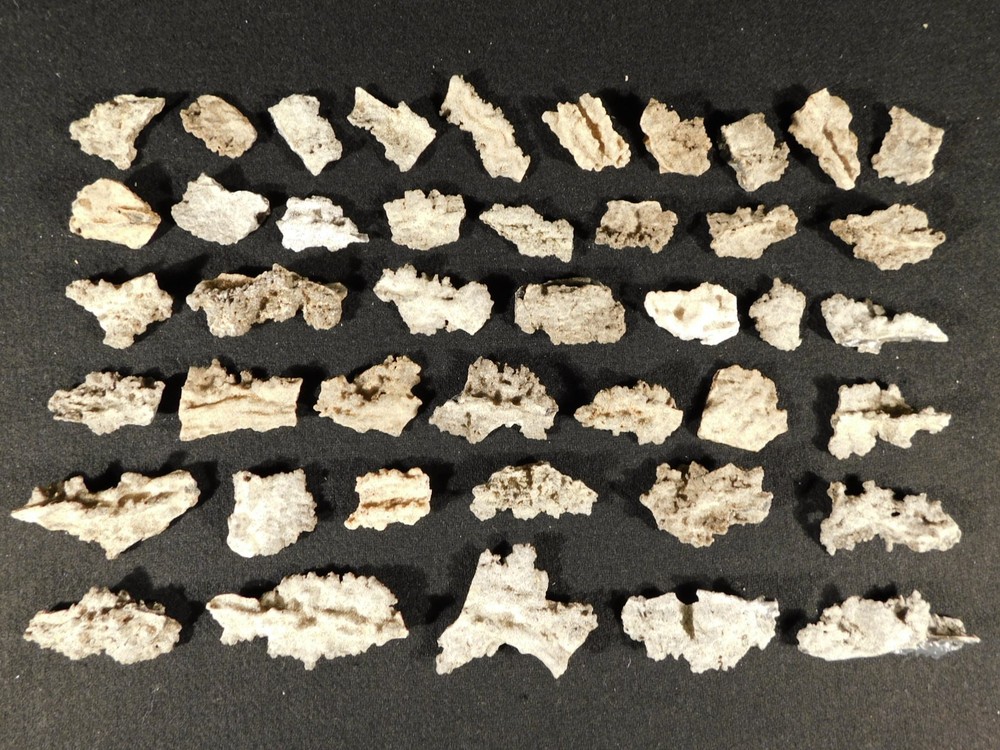 HUGE Lot of LARGER 100% Natural FULGURITE s or Petrified Lighting 101gr