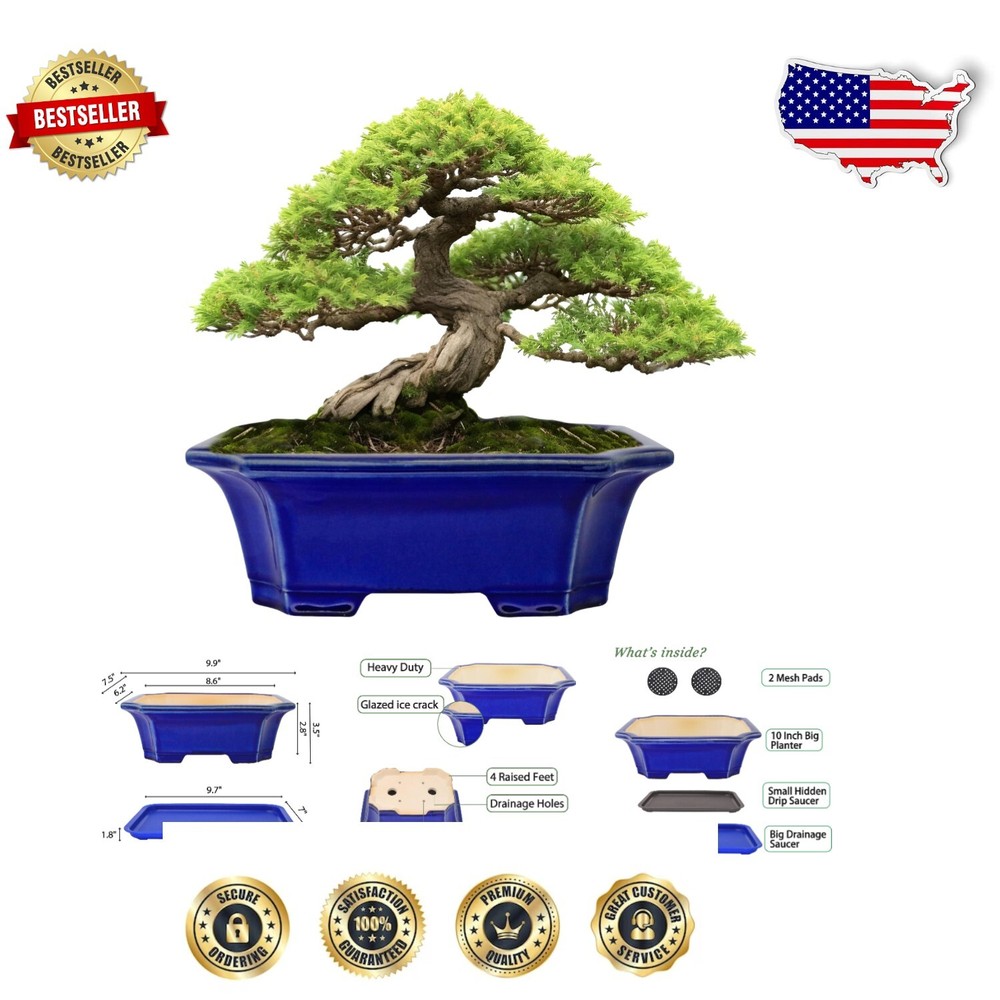 Stylish 10” Bonsai Plant Container with Raised Feet - Perfect for Succulents