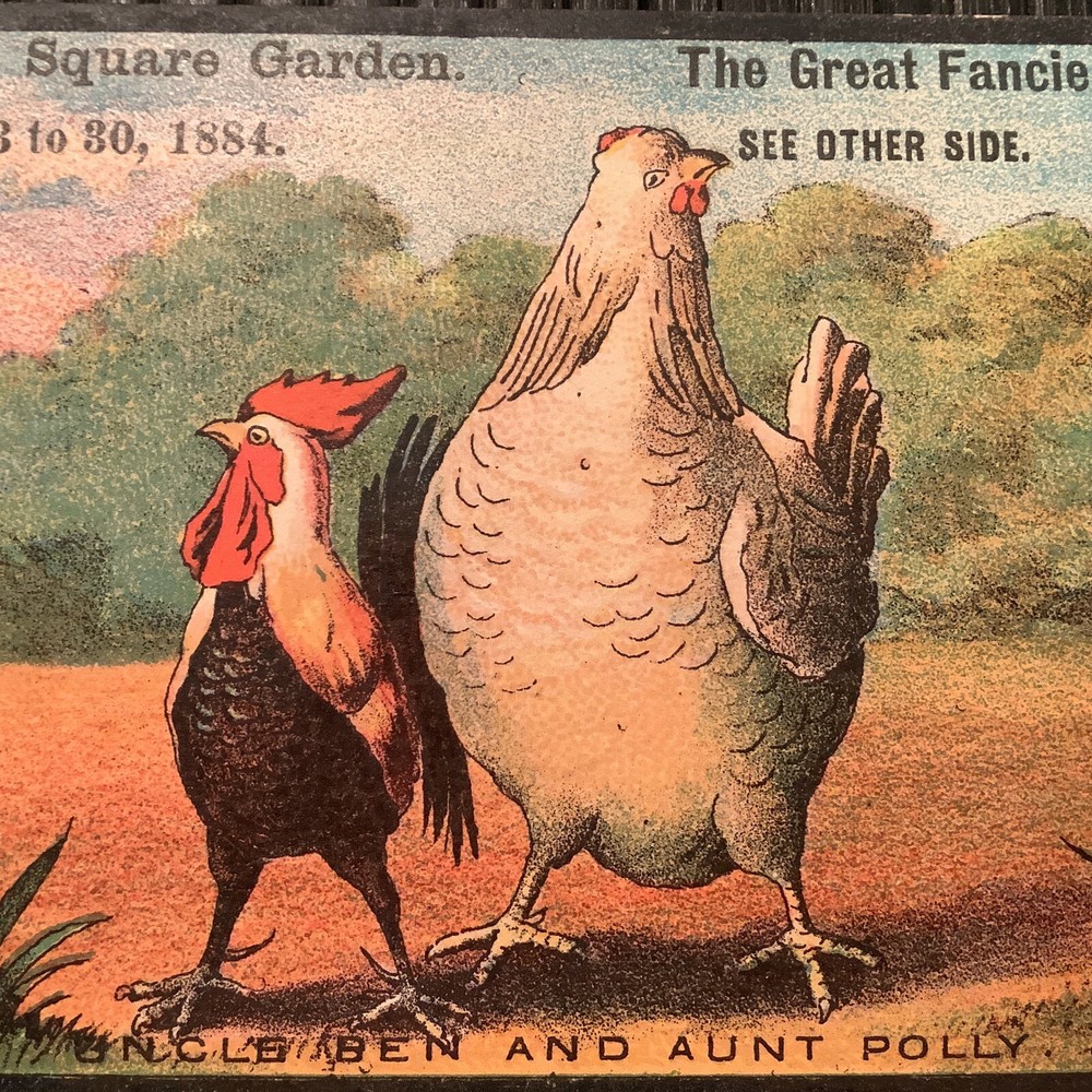 TradeCard Madison Square Garden NEW YORK CITY FANCIERS' CLUB Fowl Chicken 1884