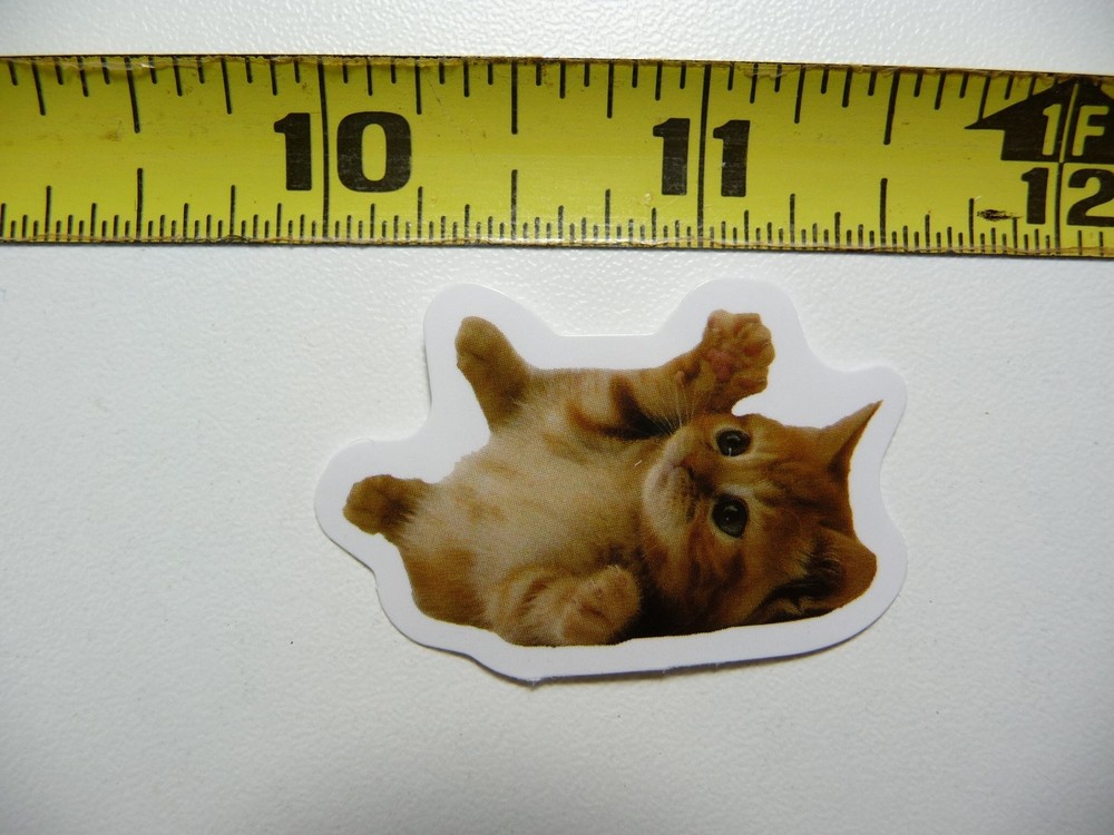 Playful Cute Kitten Sticker Decal - Adorable Feline Pet Design