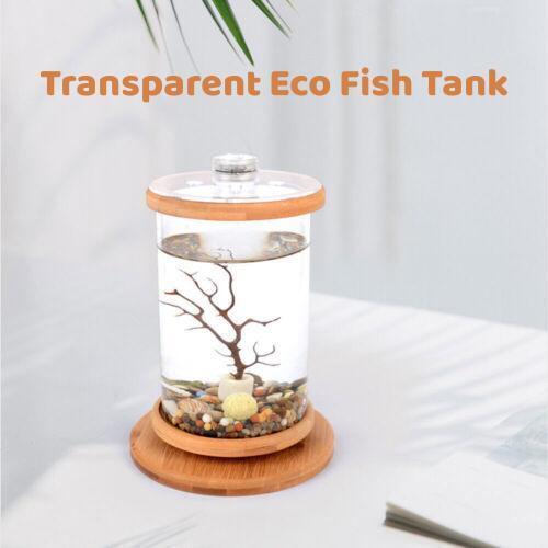 1.2L Small Betta Fish Tank Starter Kit with LED Light and Filter