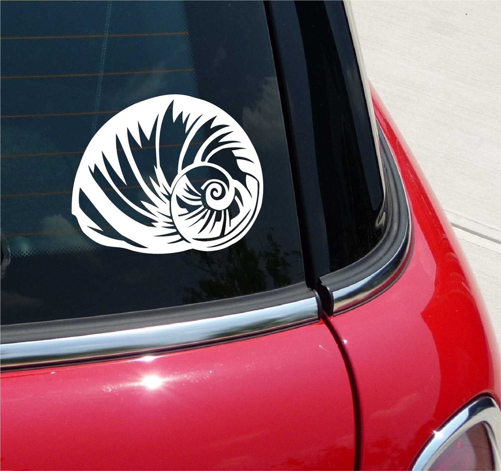 MOON SHELL MOONSHELL SEA SHELL SEASHELL GRAPHIC DECAL STICKER ART CAR WALL