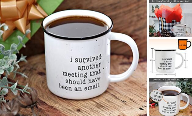 That Should Have Been An Email Mug 11 Ounce, I I Survived Another Meeting