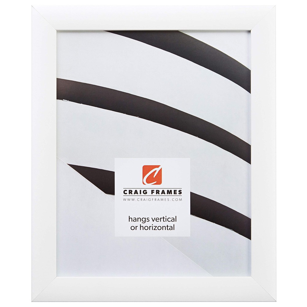 Elegant White 4x6 Picture Frame by Frames 23247812 for Stylish Displays