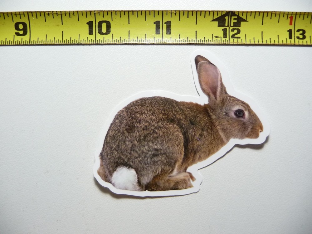 RABBIT HARE STICKER DECAL WILDLIFE PRESERVE NATURE ANIMAL