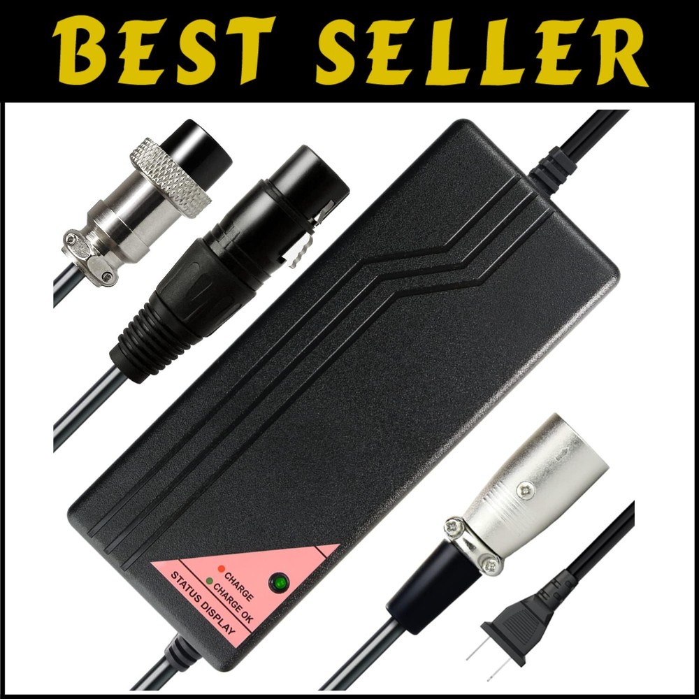 24V Smart Lithium Charger for LiFePO4 Mobility Scooter Batteries