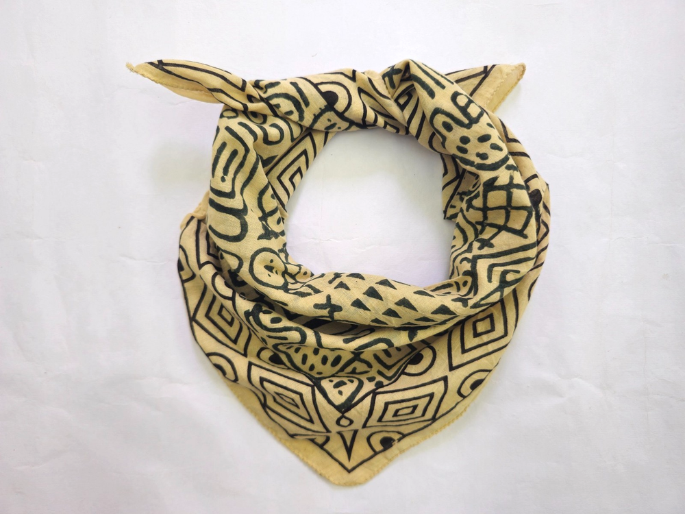 Organic Cotton Paisley Bandana Scarf in Vibrant Colors and Unique Design