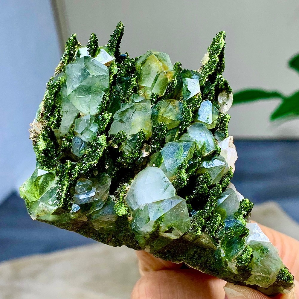 240 g Natural Garden quartz cluster specimen tourmaline mineral healing SiChuan