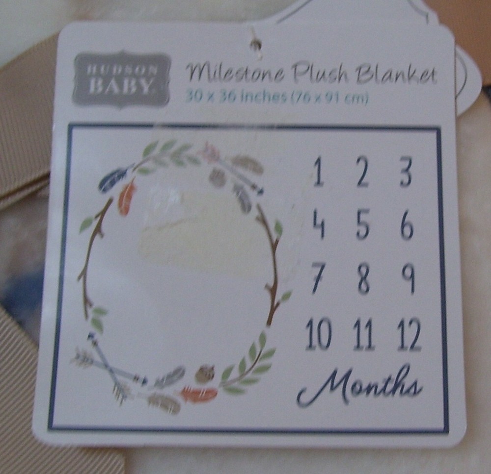 Hudson Baby Leaves Acorns Arrows Branches 1st Year Milestone Plush Photo Blanket