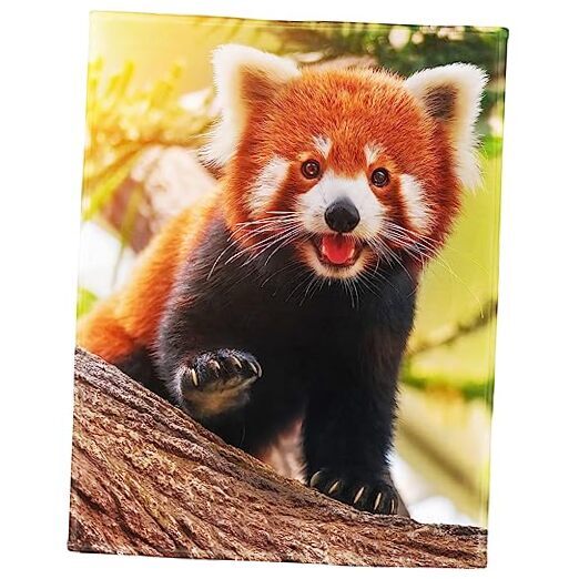 Red Panda Blanket Cute Little Panda Fleece Blanket Soft Fuzzy Plush 60