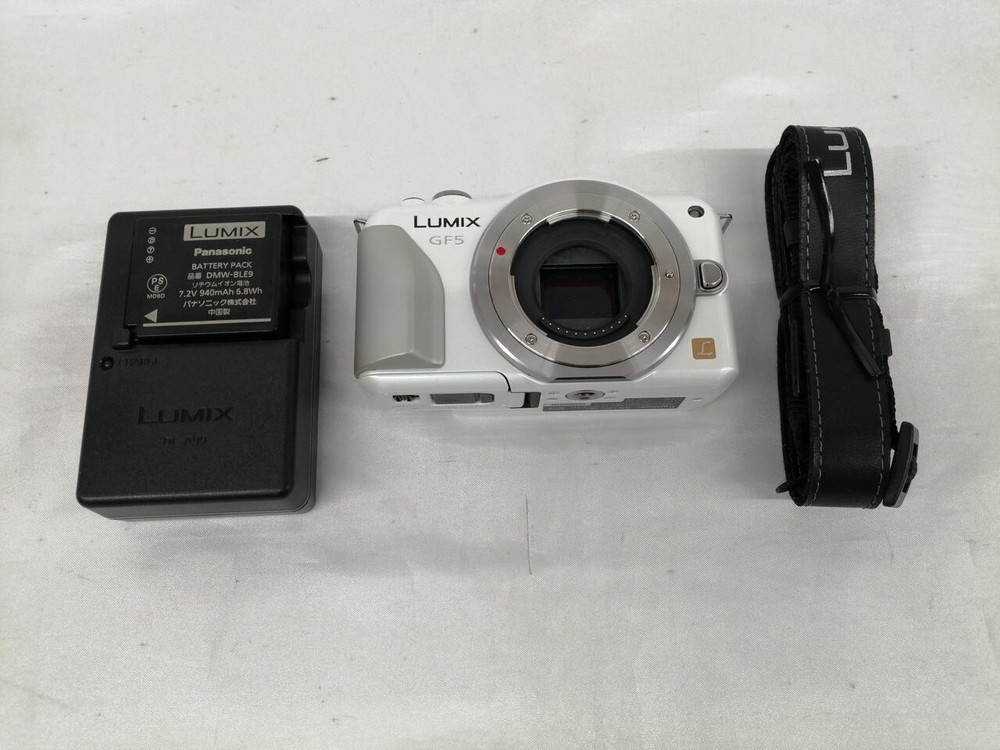 PANASONIC LUMIX DMC-GF5 Mirrorless Camera Used