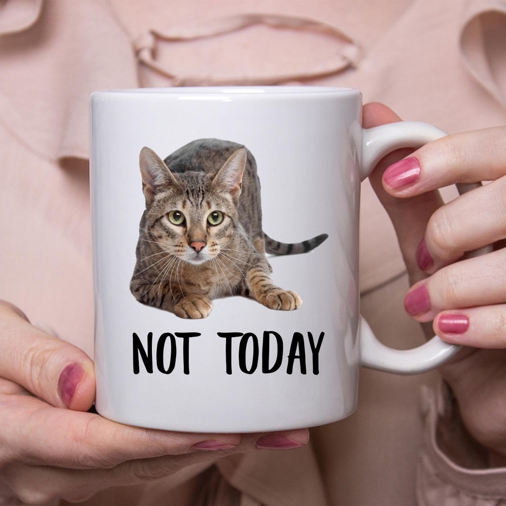 Funny Savannah Cat Smoke Not Today Cat Mug Lazy Gift For Cats Lovers Coffee Mug