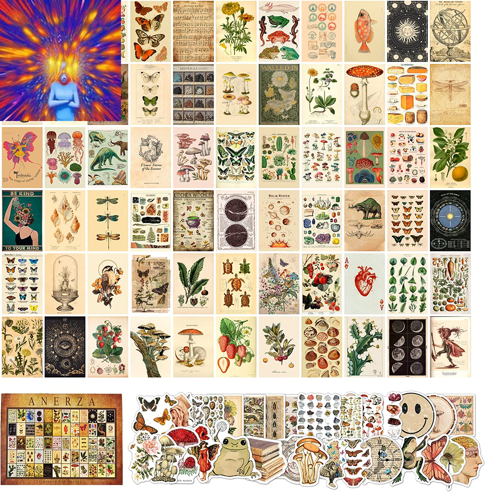 100 PCS Vintage Wall Collage Kit Aesthetic Pictures, Cottagecore Room Decor for