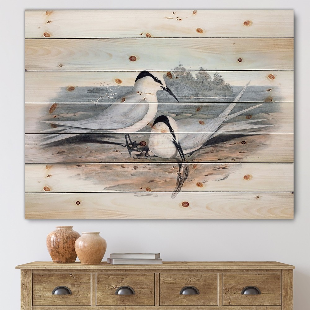 Designart 'Vintage Birds In The Wild IX' Traditional Print