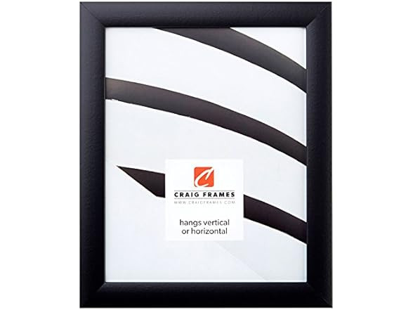 Craig Frames 22x28 Black Picture Frame 1WB3BK for 22 by 28 Art