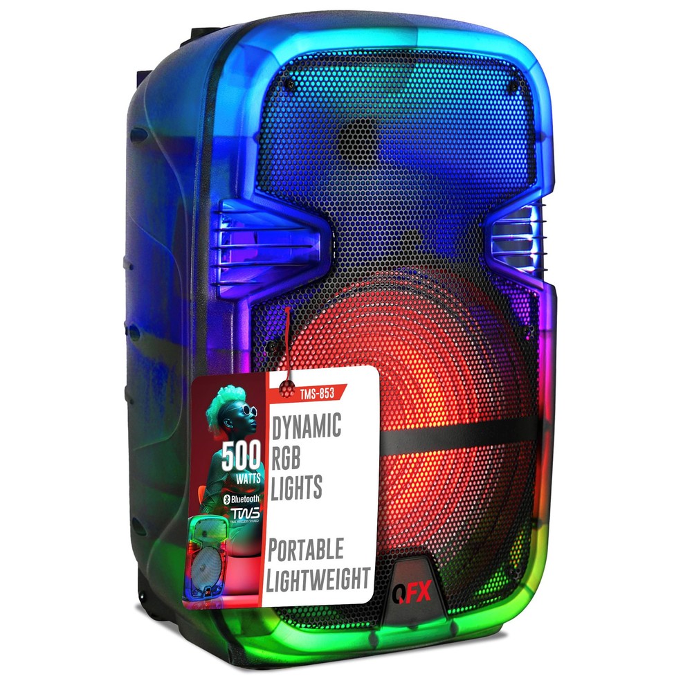 8-Inch Portable Rechargeable Bluetooth PA Karaoke Loud Party Speaker with 5-Hour Battery Life