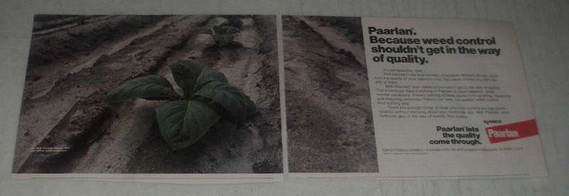 1985 Elanco Paarlan Ad - weed control shouldn't get in the way of quality