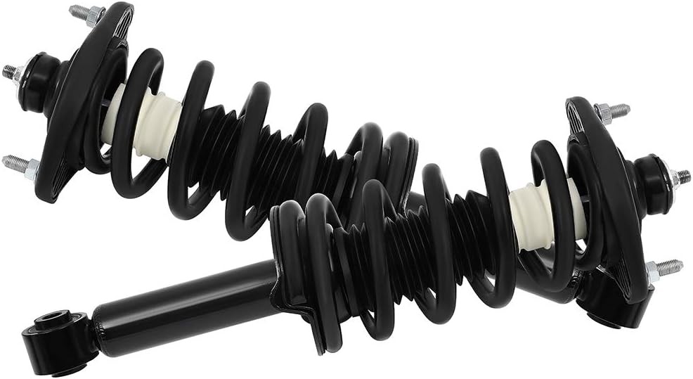 ECCPP 2pcs Rear Pair Complete Strut Assembly Shock Absorber for 2012 2013 2014 2