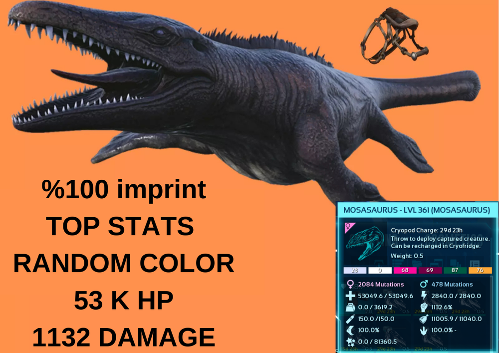 Mosasaurus 1132 DMG 53K HP %100 imprint Ark Survival Ascended Official PVE