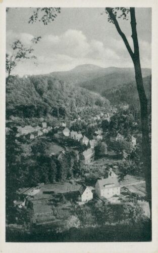 Ansichtskarte Volkskunstverein Reichenbach  (Nr.807)