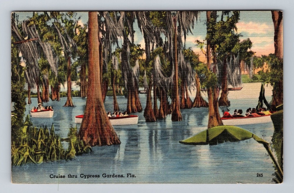 Cypress Gardens FL-Florida, Electric Boat Cruise, Cypress Trees Vintage Postcard