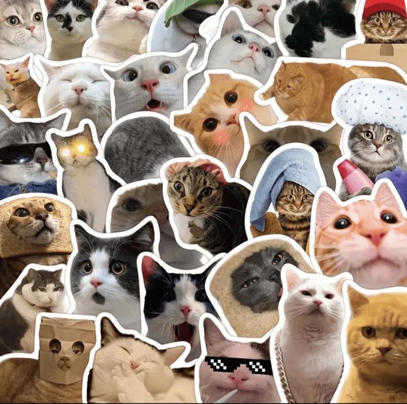 50 Meme Cat Stickers Kawaii Funny Gift Waterproof Stickers Decals
