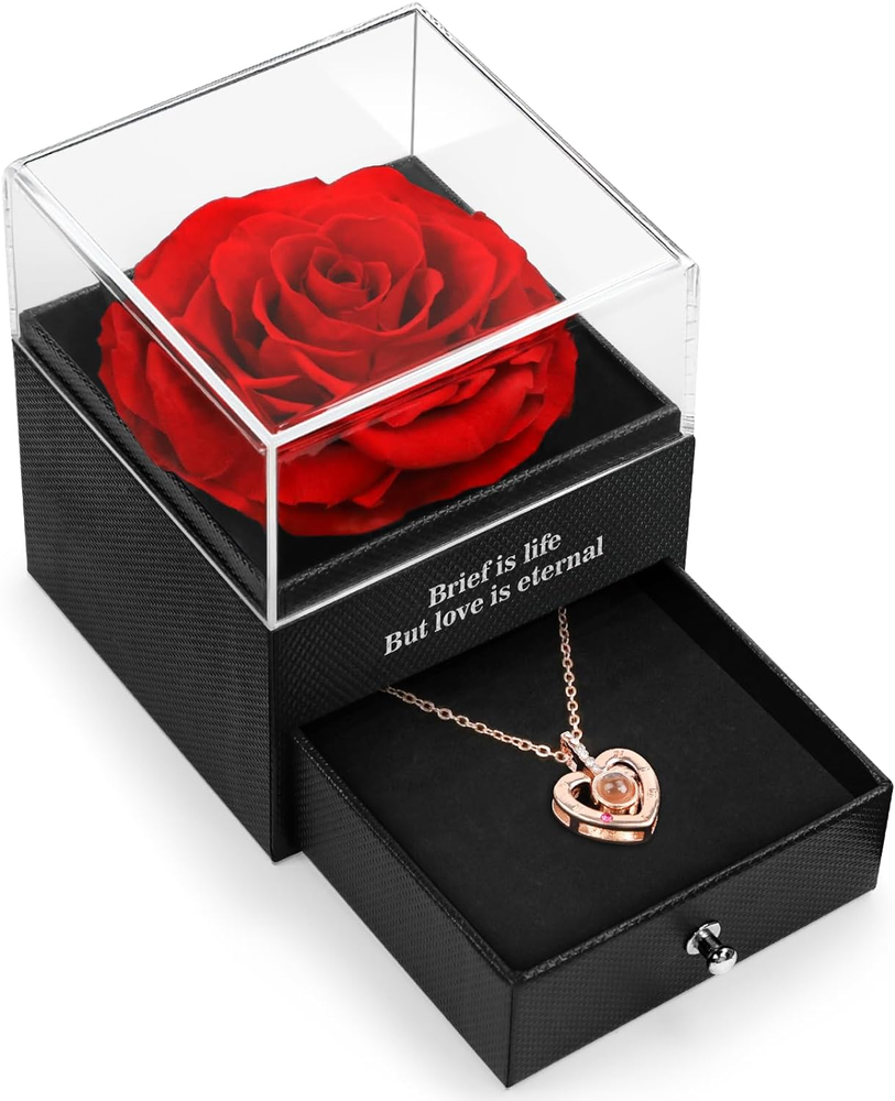 Real Preserved Rose with I Love You Necklace in 100 Languages, Perfect Valentine's Day Gift