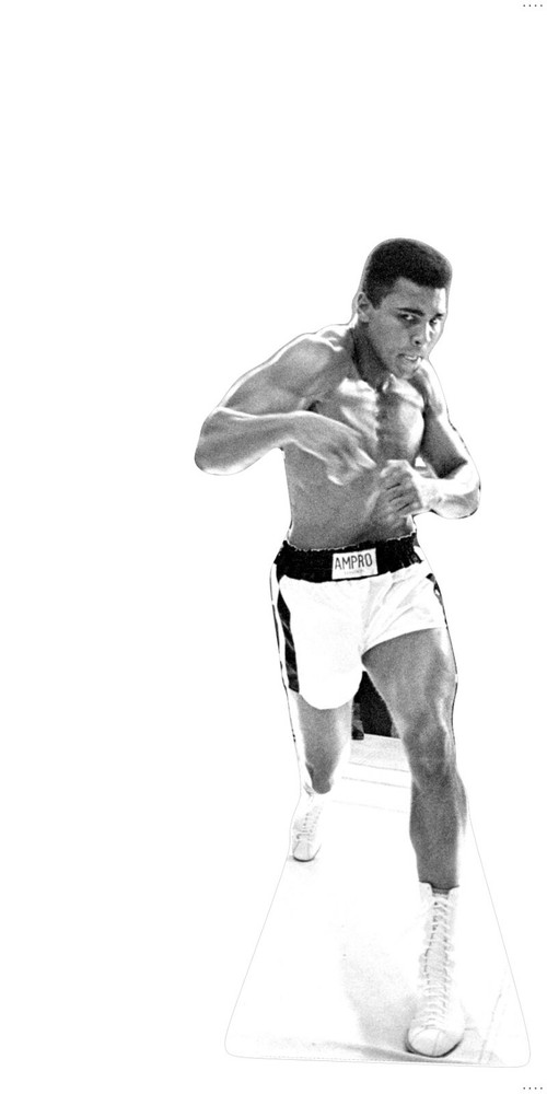 Muhammad Ali The Greatest  73