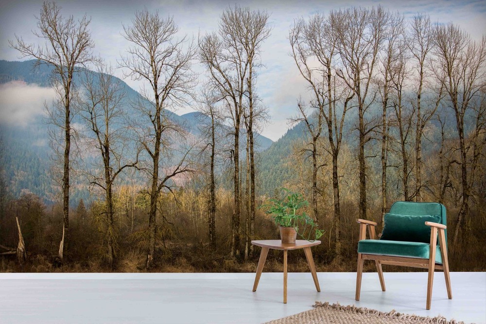 3D Mountains Forests Autumn Landscape Wall Murals Wallpaper Murals Wall Sticker