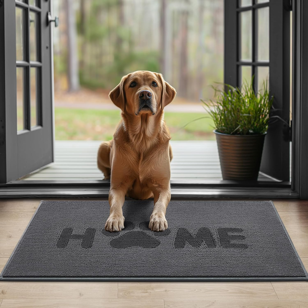 Door Mat Indoor,Low Profile Front Door Mats Indoor Outdoor Entrance, Non-Slip/Sk