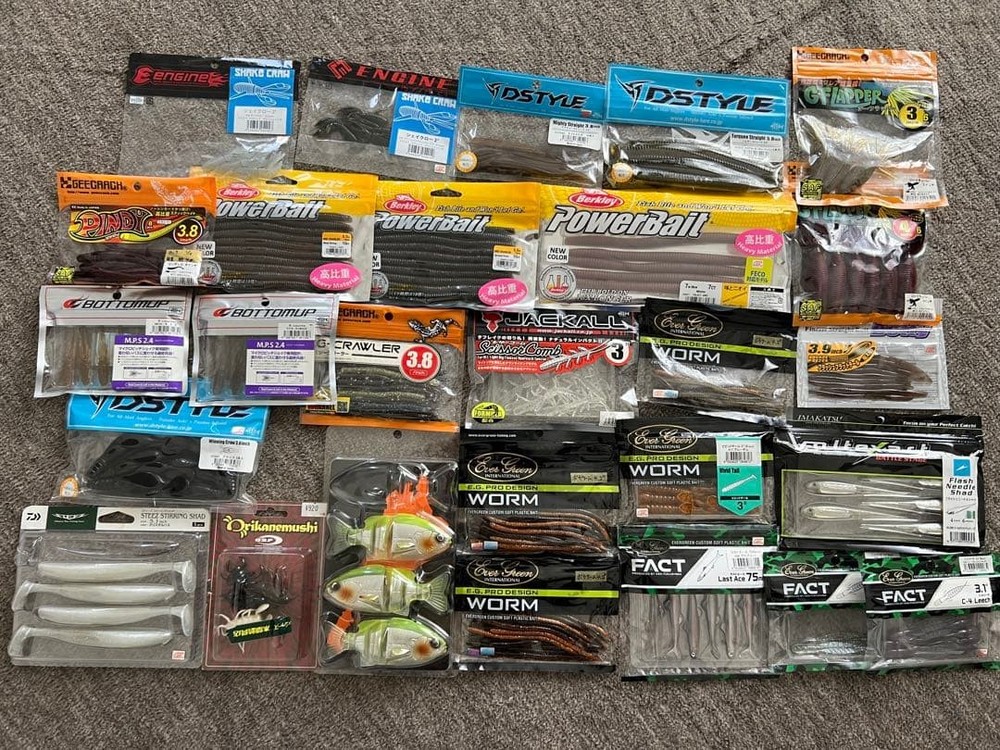 Famous Brand Bass Worms Bulk Set, Fishing Tackle Storage, Used