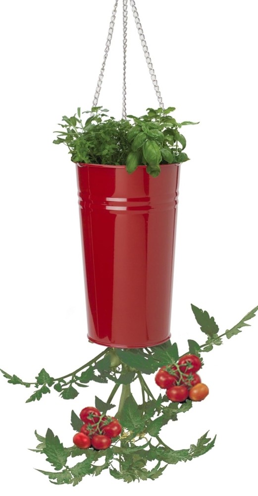 XR Galvanized Heavy Gauge Steel Hanging Strawberry Floral Planter, Red