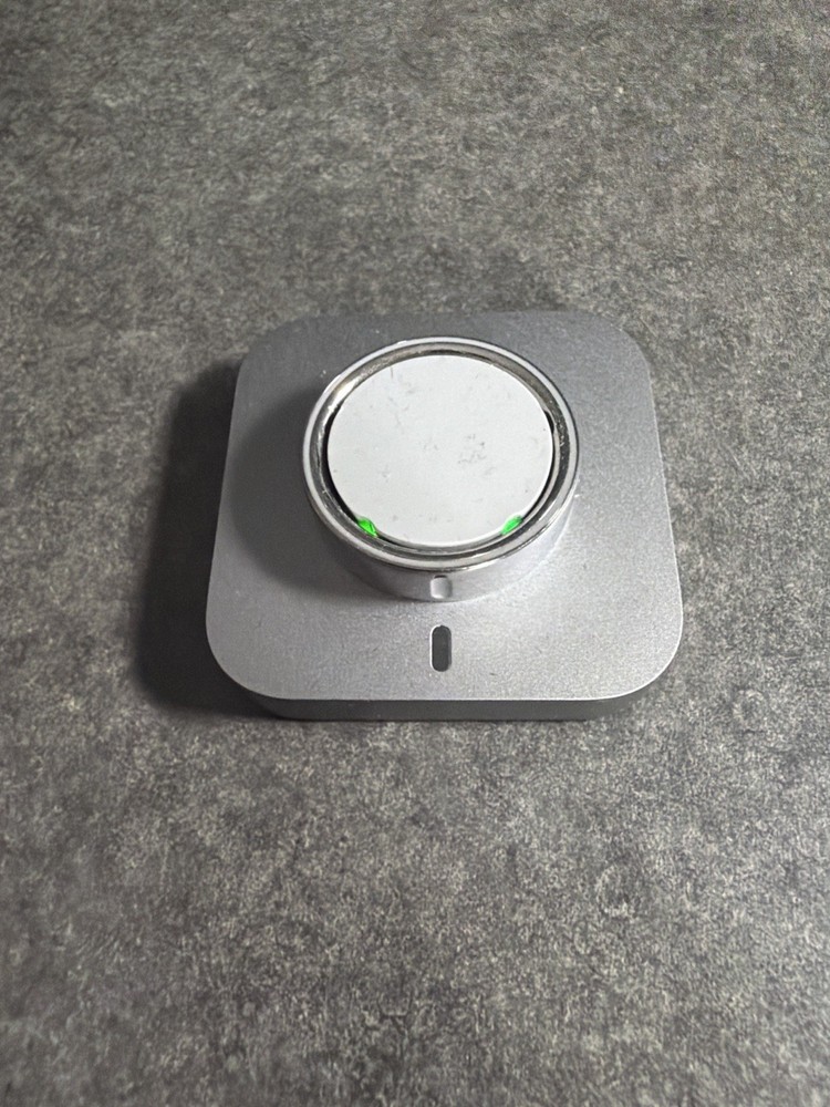 Oura Ring 4 Silver - Size 10 PRE-OWNED