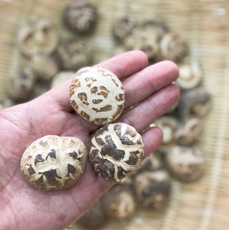 250g Chinese Herbal Edible Fungi Bag Package Dried Tea Flower Mushroom Cheaply