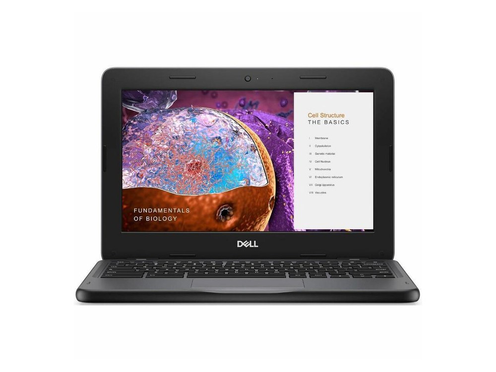 Dell Chromebook 11 3110 11.6