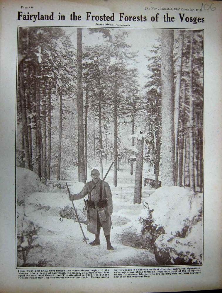 Original Old Antique Print 1916 Ww1 Vosages Frost French Sier Trees Snow 20th