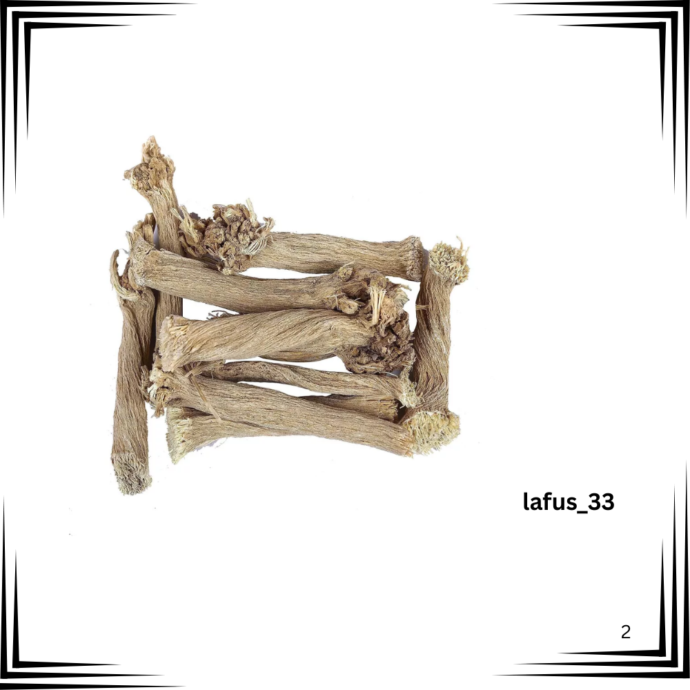 Bitter Apple Indrayan Roots Citrullus Colocynthis Herbs Indrayun Jadd