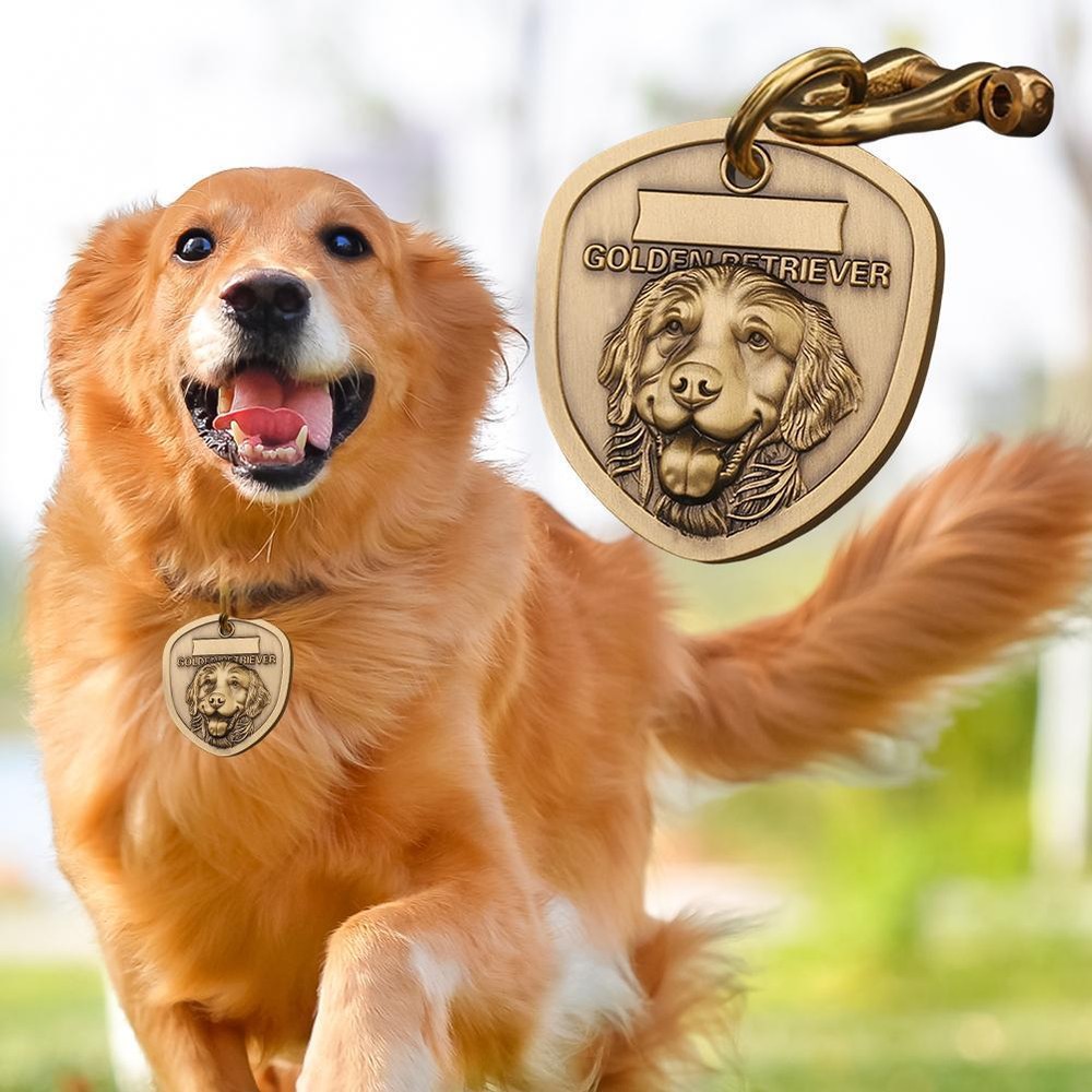 Personalized 3D Dog Pet Puppy Name ID Collar Free Engraved Metal Tags HOT o J7R5