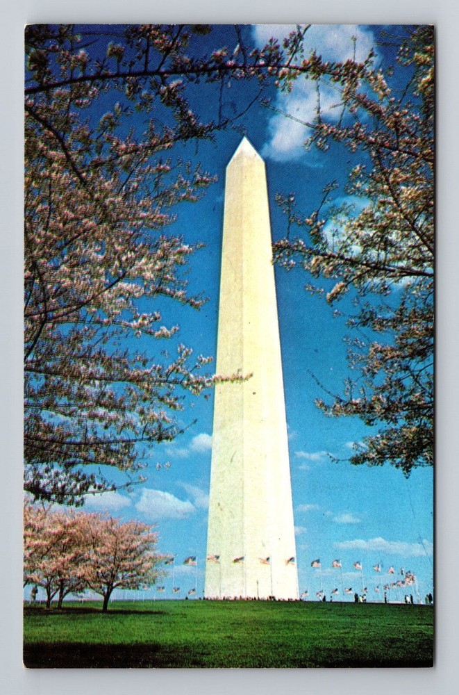 Vintage Postcard of Cherry Blossoms at Washington Monument DC Souvenir PC  