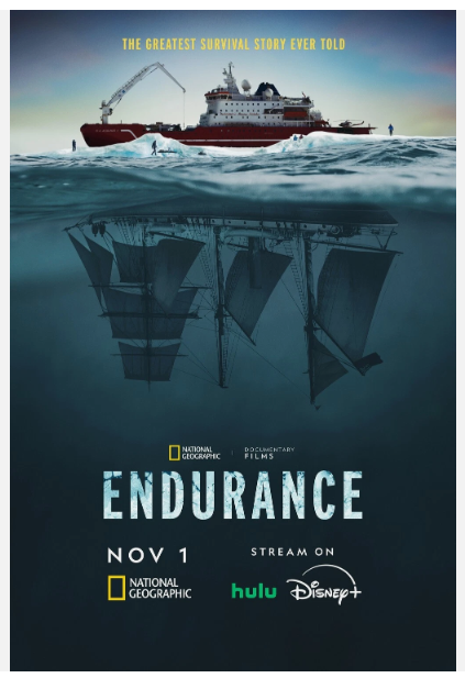 Endurance 2024 Movie Poster Wall Art for Home Decor