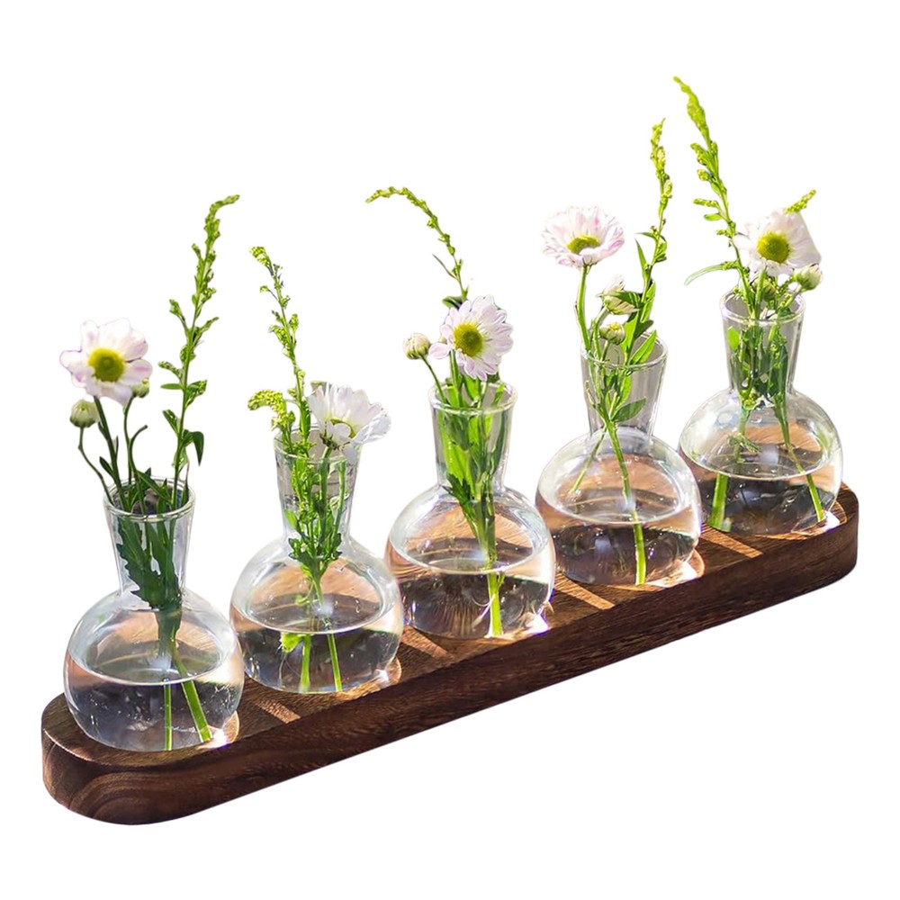 Hydroponic Glass Vase Propagation Station Wood Propagation Plant Desktop Decor