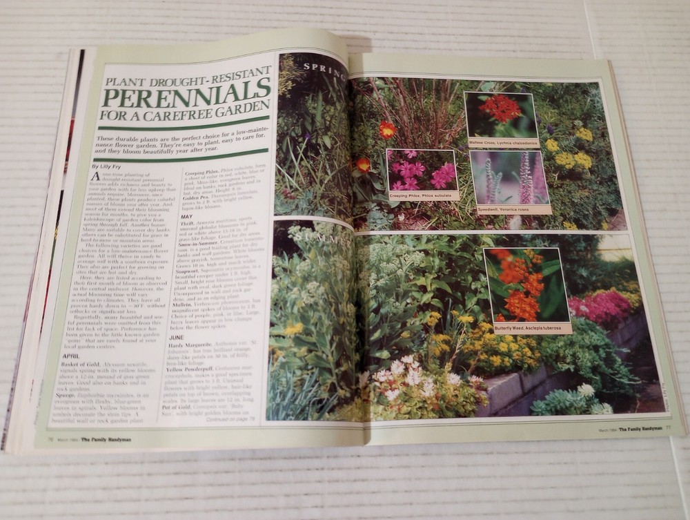 The Family Handyman DIY March 1984 Create Your Own Special Summer Porch