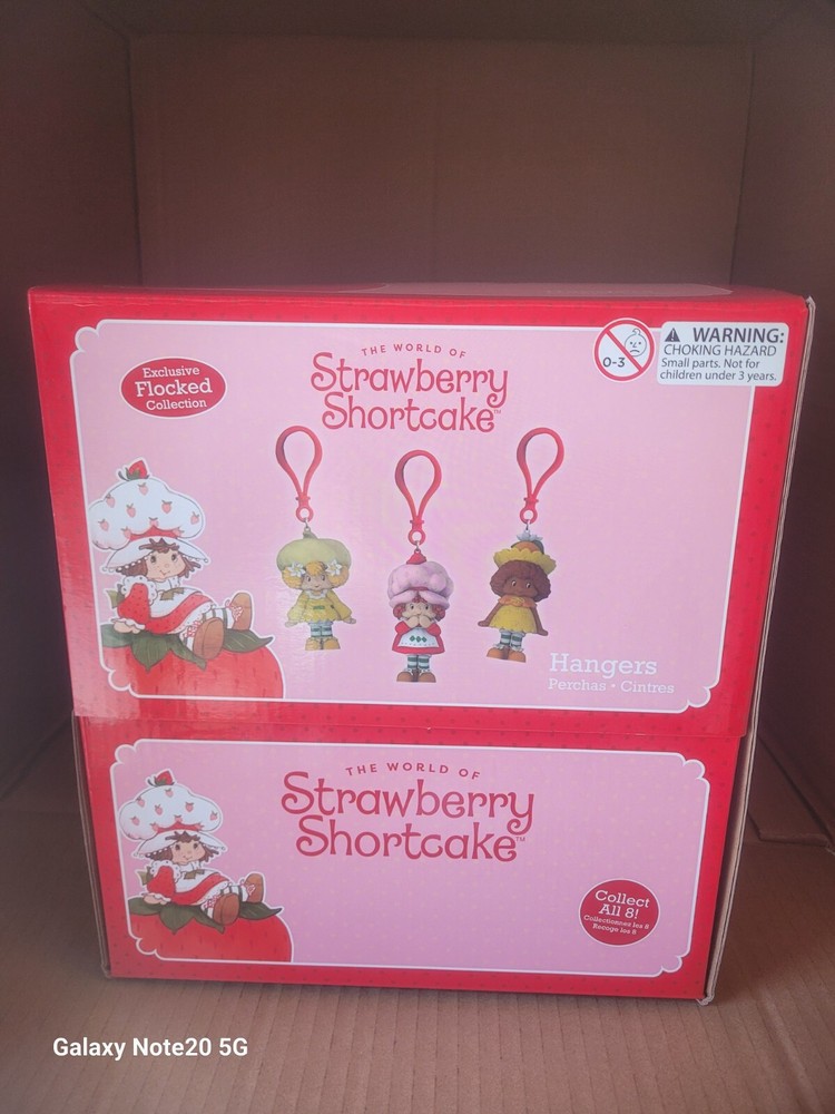 24-Piece Case Flocked Strawberry Shortcake Mystery Figure Exclusive Box